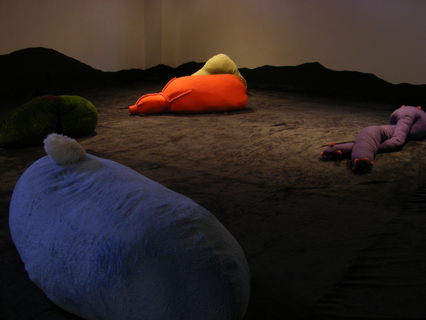 Vista de la instalación