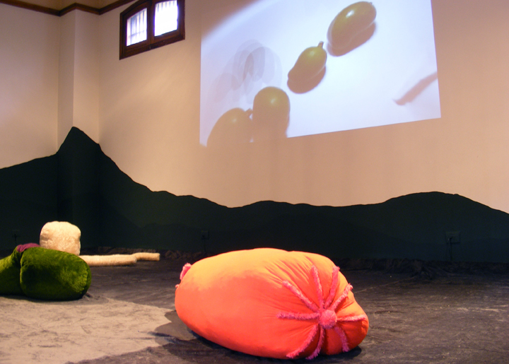 Vista con video proyección de la animación Raro