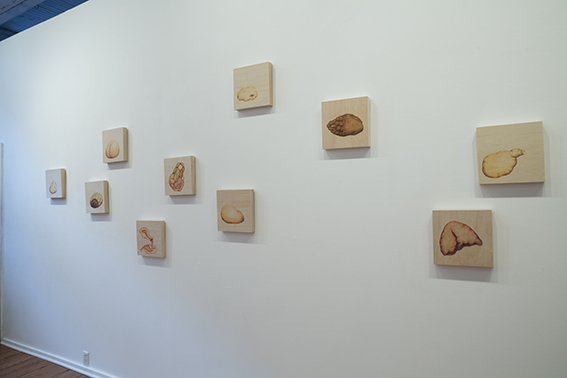 Amorfo_0005_estudios_amorfos_II