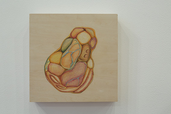 Amorfo_0016_ordenorganico