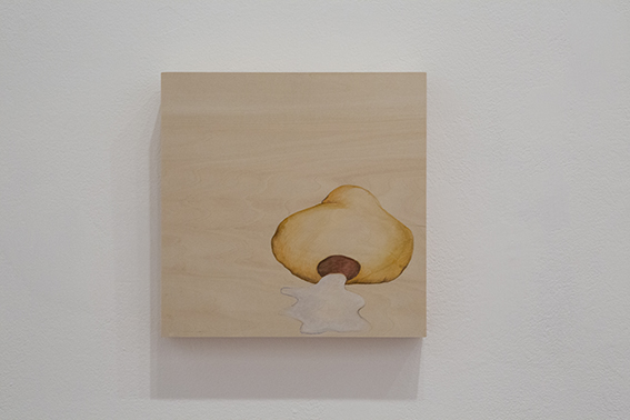 Amorfo_0032_LC_vomito